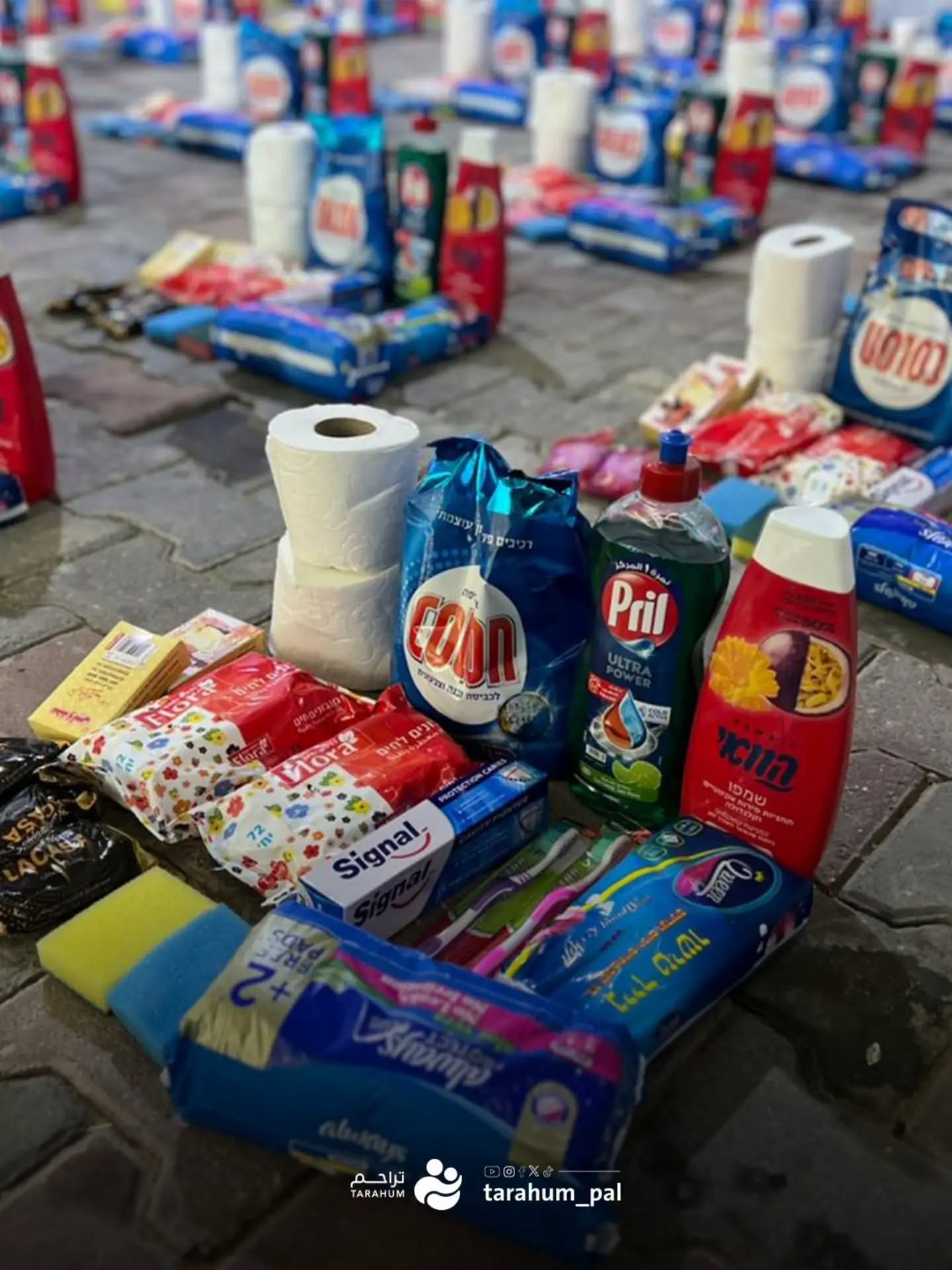 Tarahum Association Distributes Hygiene Kits to Displaced Families in Gaza