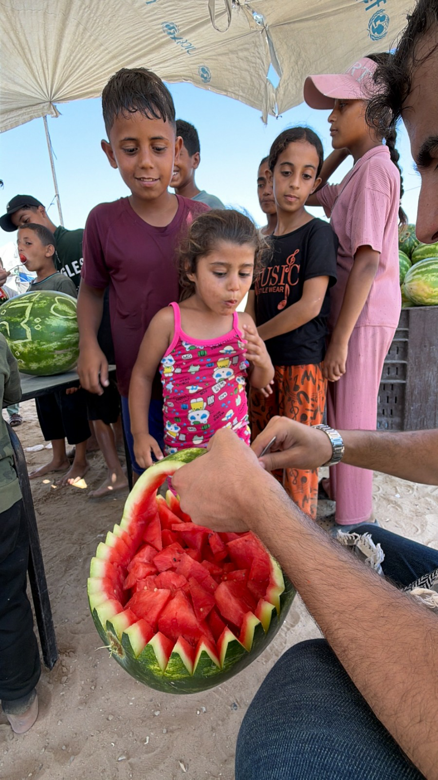 البطيخ ينعش النازحين في غزة